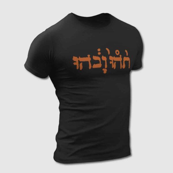 Godspeed You! Black Emperor Slow Riot For New Zero Kanada T-Shirt, Rock Merch