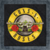 Guns n Roses Back Patch, Guns n Roses Artwork Big Back Patch