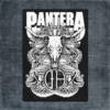 Pantera Back Patch, Pantera Artwork Big Back Patch