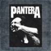 Pantera Back Patch, Pantera Vulgar Display of Power Big Back Patch