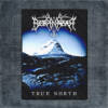 Borknagar Back Patch, Borknagar – True North Big Back Patch
