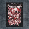 Psychonaut 4 Back Patch, Psychonaut 4 Skull Art Big Back Patch